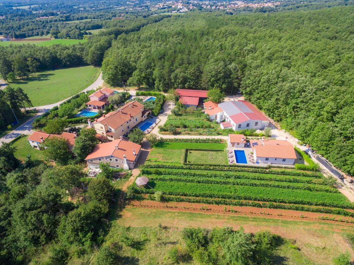 Holiday Home Jakov - Roj431 By Interhome Zminj Bagian luar foto